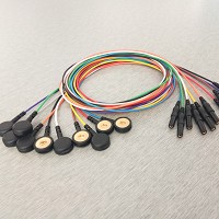 ECG
