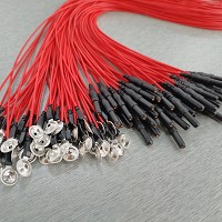 EEG